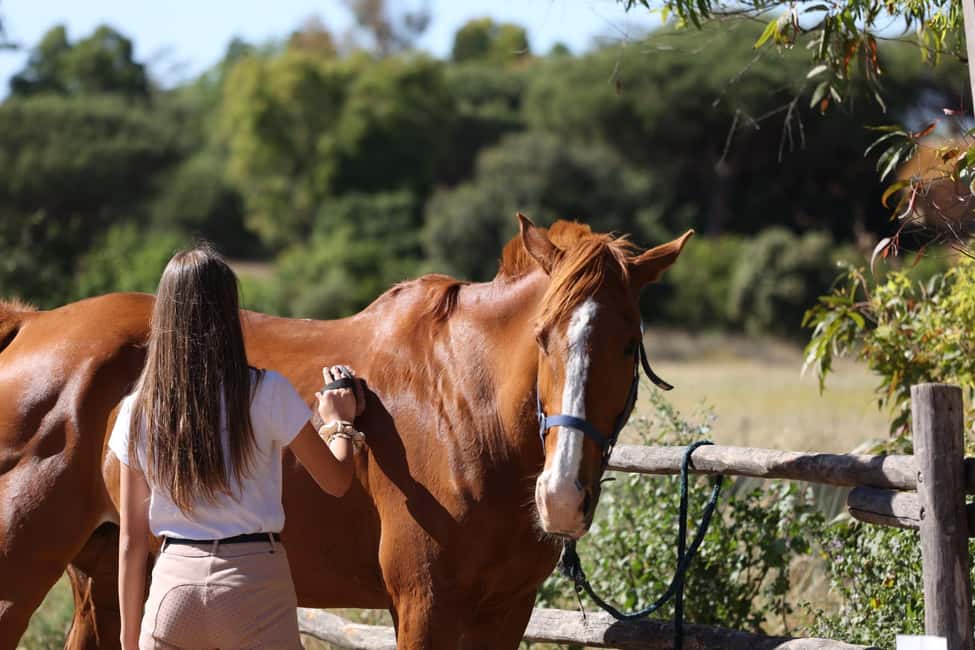 Horse Sanctuary in Rome - What to bring (and what to avoid) so the ride stays enjoyable