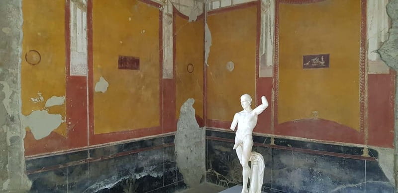 Pompeii: Entry Ticket w/ Guide and Transfers or Audio Guide - The House of the Vettii and Villa of the Mysteries: Art You Can Actually See