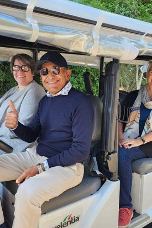 Private Golf Cart Tour: Discover Rome's Best Highlights - Why a private electric cart makes Rome easier (and more fun)