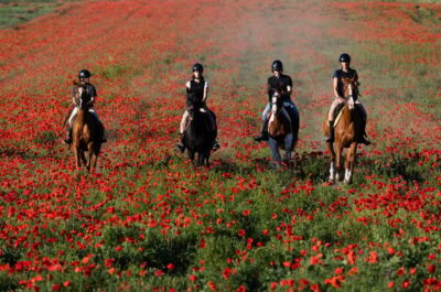 Ride in Rome with meal and wine included - Who this is best for (and who should double-check)