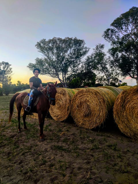 Ride in Rome with meal and wine included - Sanctuary prep: grooming and feeding rescue horses