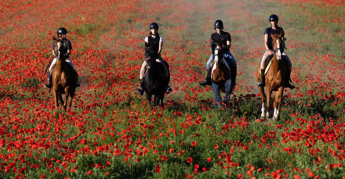 Ride in Rome with meal and wine included - Lunch in the pinewood with wine tasting included