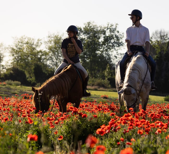 Ride in Rome with meal and wine included - What the 3.5-hour timing really means for you