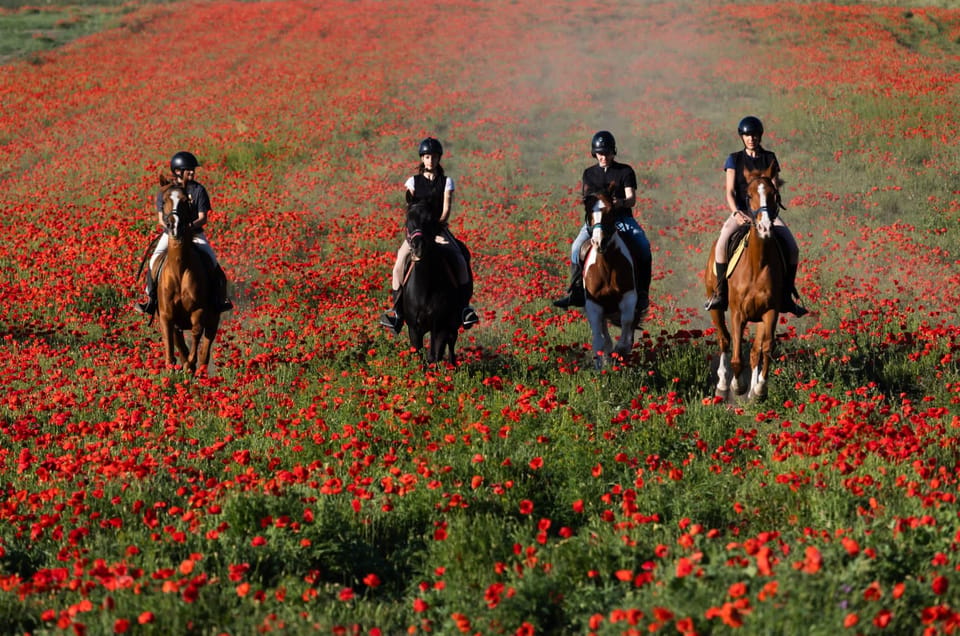 Ride in Rome with meal and wine included - Who this is best for (and who should double-check)
