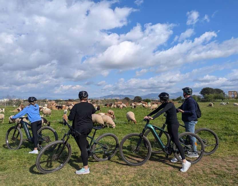 Rome: Appia Antica & Ancient Underground Labyrinth by Ebike - Sotterranei di Roma: The Roman Quarry Labyrinth Beneath the City