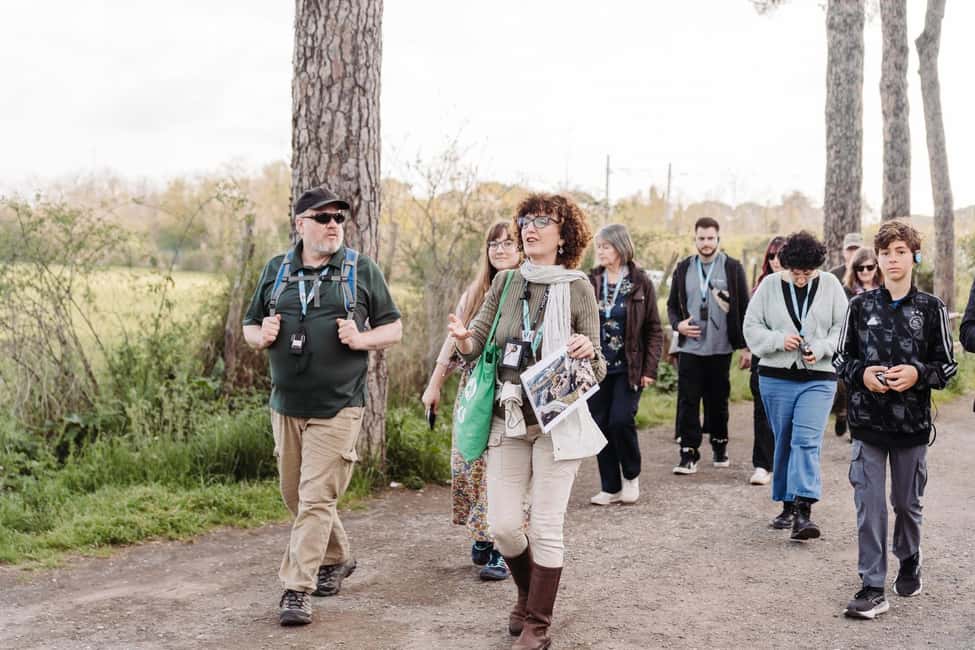 Rome: Appian Way, Aqueducts, and Catacombs Tour - Comfort and timing: how the transport shapes the whole day
