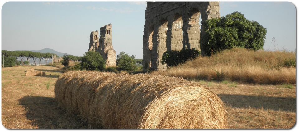 Rome: Appian Way E-Bike Tour Catacombs, Aqueducts & Picnic - Key highlights worth your time