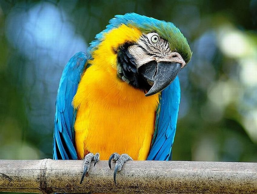 Rome: Bioparco di Roma Zoological Garden Entry Ticket - Key Highlights You Should Actually Care About