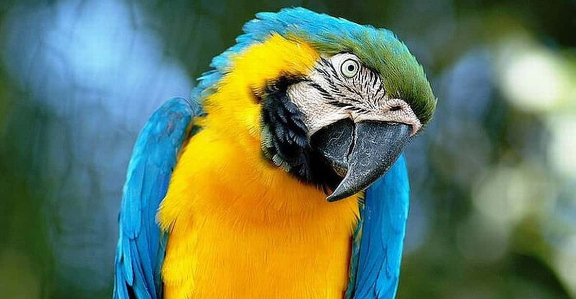 Rome: Bioparco di Roma Zoological Garden Entry Ticket - Getting There: Don’t Let Transport Steal Your Zoo Time