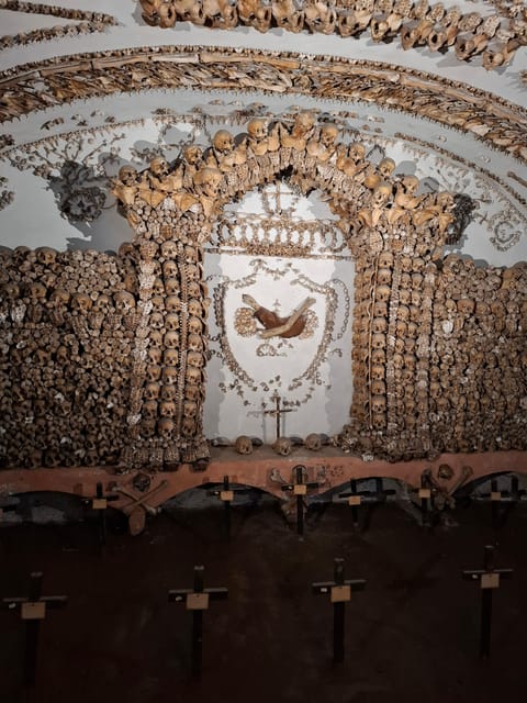 Rome: Bone Crypts Express - Tour in ENGLISH with tickets - Key Things I’d Plan Around