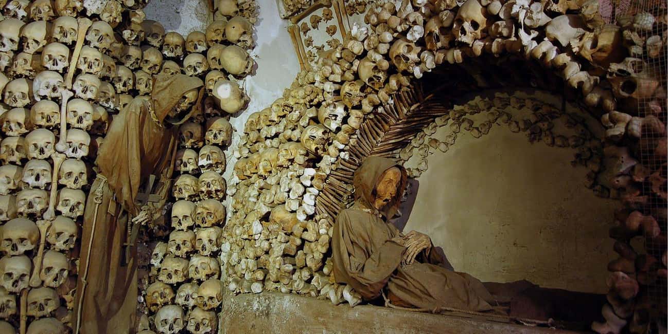 Rome: Capuchin Crypt experience with Panoramic transfer - Audio guide during the journey and the Rome app you receive