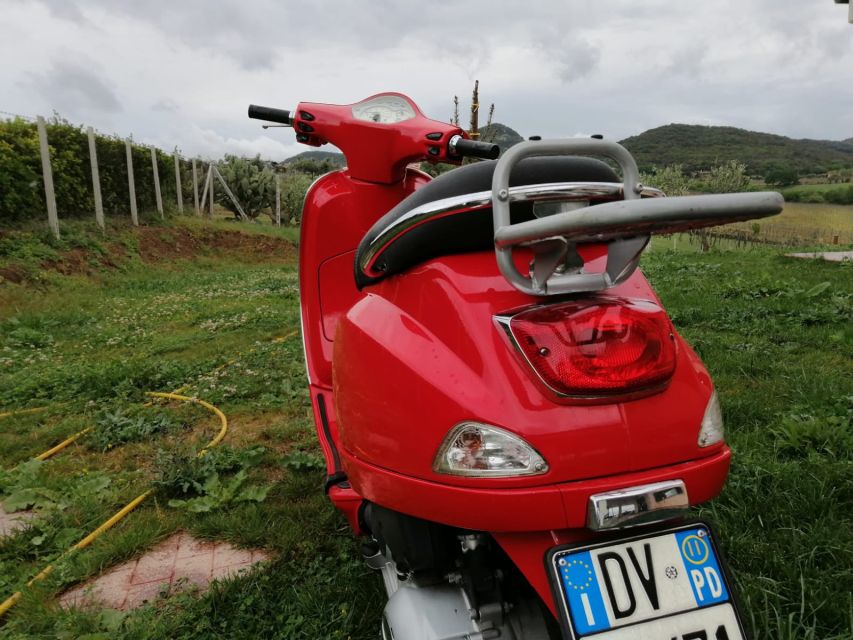 Rome: City Highlights Vespa Tour with Driver - Why a Vespa tour is a great way to see Rome