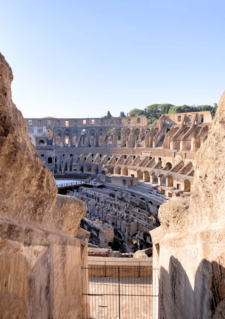 Rome: Colosseum Arena & Roman Forum Small Group Tour - Curia of the Senate House (10 minutes): a focused political moment
