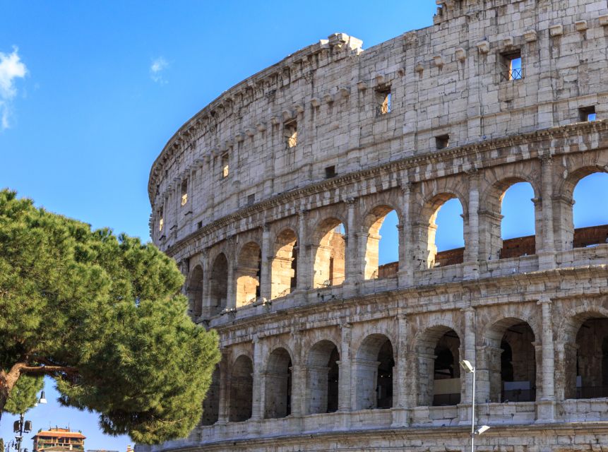 Rome: Colosseum, Forum and Palatine Hill Private Guided Tour - Price and value: $619.95 for up to 2 people