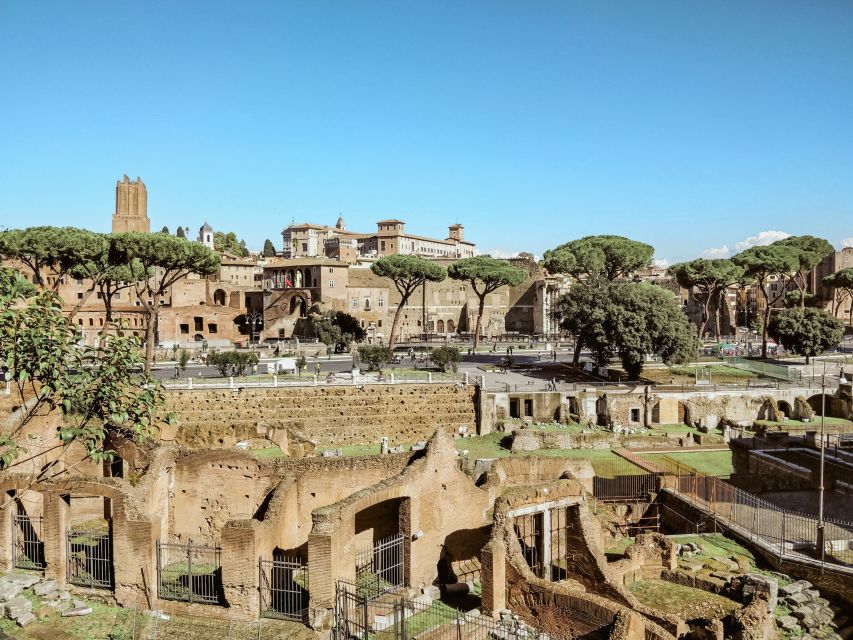 Rome: Colosseum, Roman Forum and Palatine hill guided tour - Price and Value: What $41 Gets You Here
