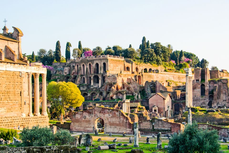 Rome: Colosseum, Roman Forum and Palatine hill guided tour - Who Should Book This Colosseum, Forum, and Palatine Tour?
