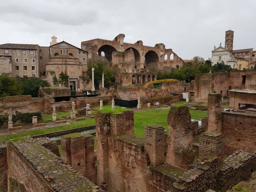 Rome: Colosseum, Roman Forum and Palatine Hill Private Tour - Key things you’ll notice on this tour