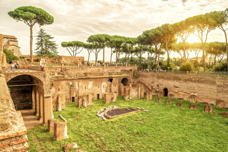 Rome: Colosseum Underground, Arena & Forum Tour - Who you might get as a guide (and why it matters)