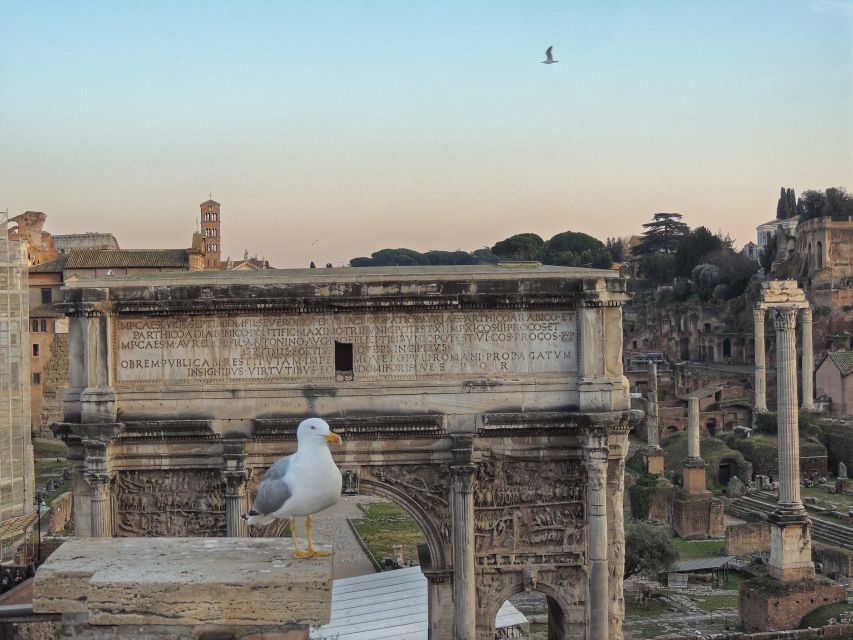 Rome: Colosseum with Arena Floor, Forum & Palatine Hill Tour - Palatine Hill: Romulus legend and the emperor palaces