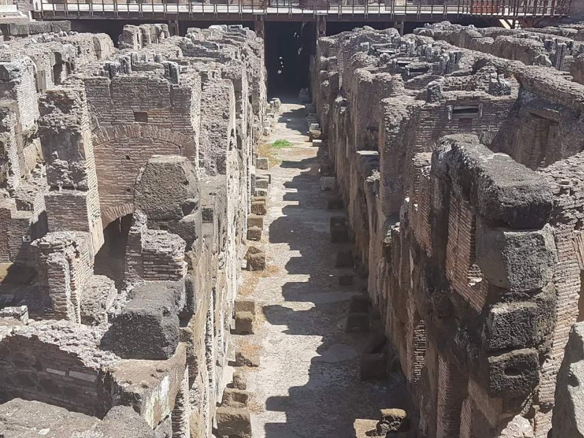 Rome: Explore the Colosseum and Roman Forum, Half-Day Tour - Who This Half-Day Tour Fits Best