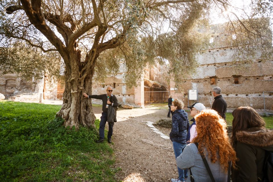 Rome: Hadrian's Villa and Villa d'Este Half-Day Tour - Price and timing: does a 4-hour Tivoli run feel worth it?