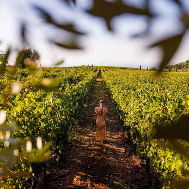 Rome: Private Castelli Romani Wine Tasting Tour - Frascati time: photo stop, tasting add-ons, and a breather